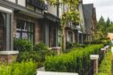 Hadley Long - Residential Masonry Experts | Cronus Masonry Contracting Ltd.